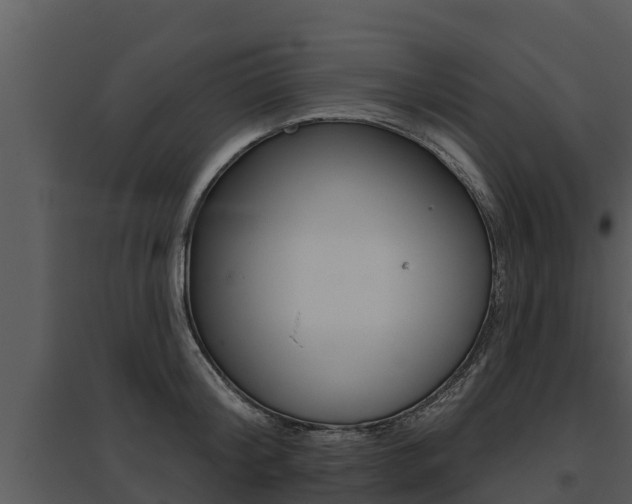 X0000095680804200801081101