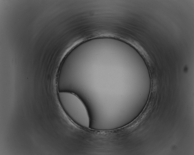 X0000095680806200801081101