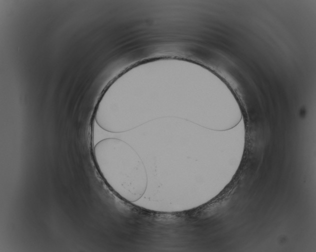X0000095680807200801081101