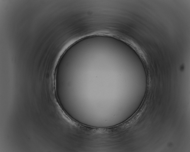 X0000095680808200801081101