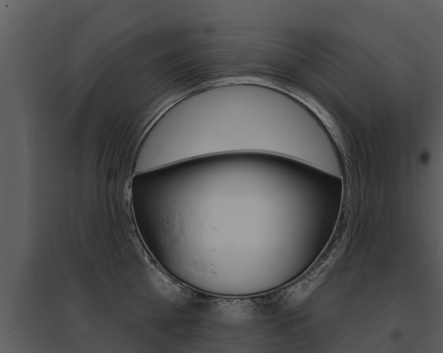 X0000095680809200801081101