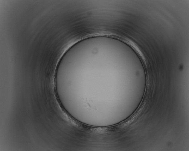 X0000095680810200801081101