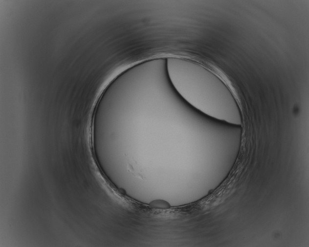 X0000095680811200801081101