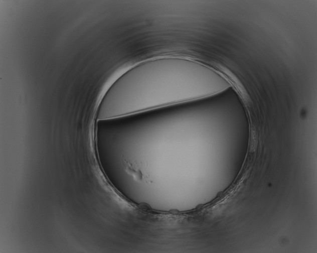 X0000095680812200801081101