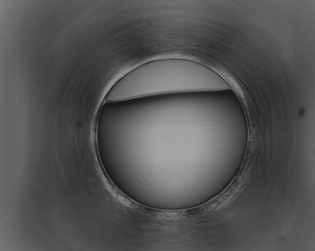 X0000095680813200801081101