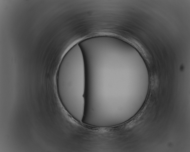 X0000095680814200801081101