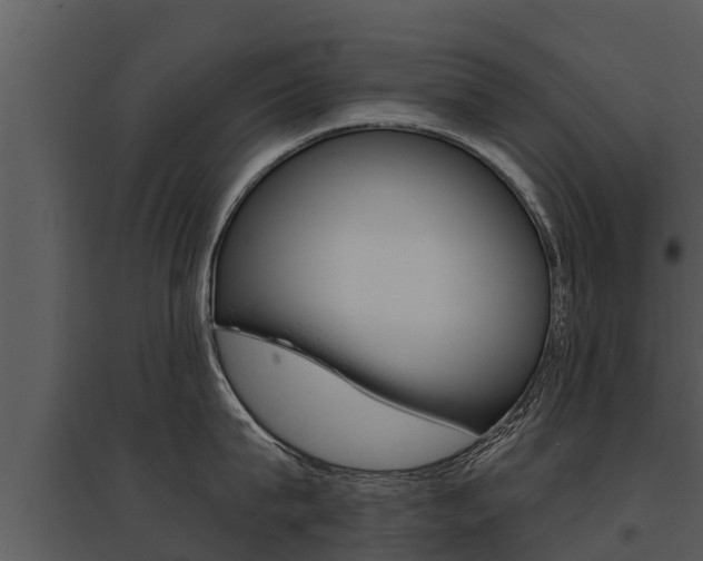 X0000095680815200801081101