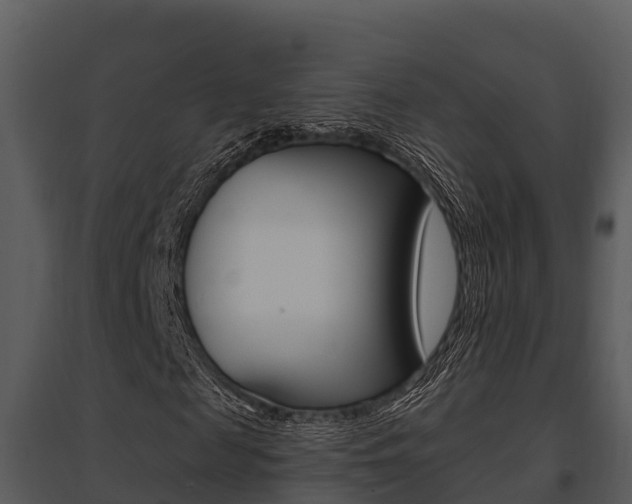 X0000095680817200801081100