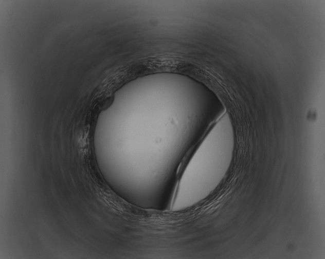 X0000095680818200801081101