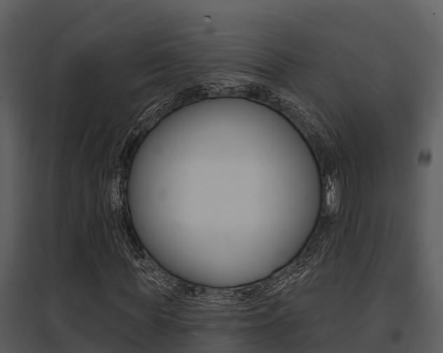 X0000095680819200801081101