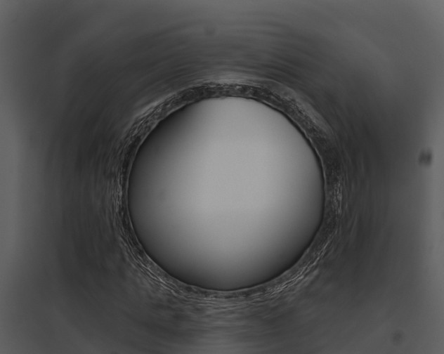 X0000095680821200801081101