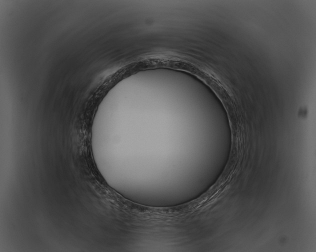 X0000095680822200801081101
