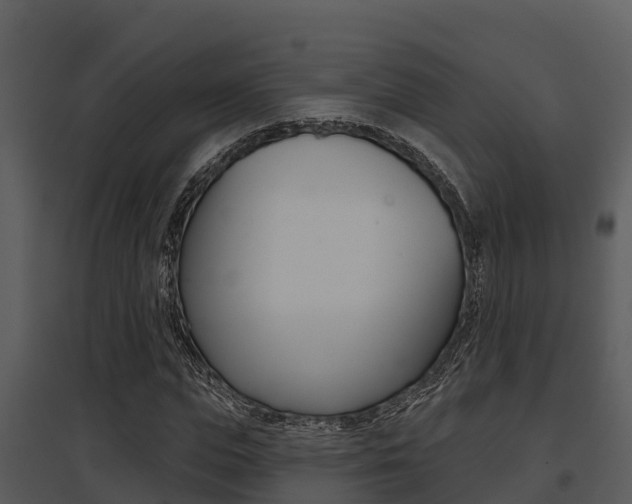 X0000095680823200801081101