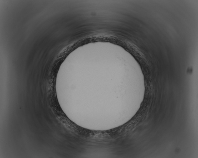 X0000095680824200801081101