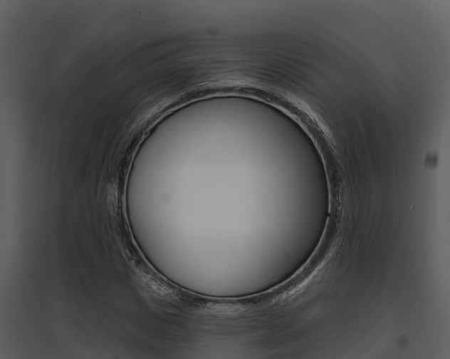 X0000095680825200801081101