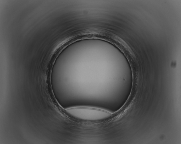 X0000095680826200801081101