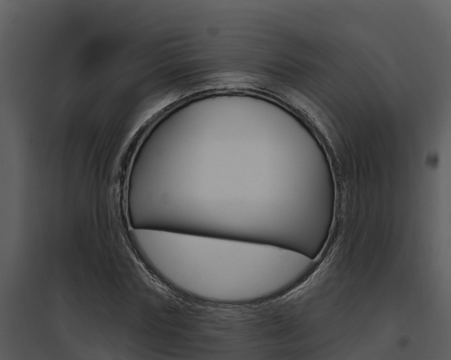 X0000095680827200801081101