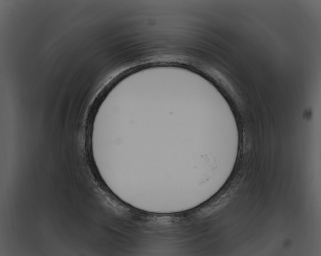 X0000095680828200801081101