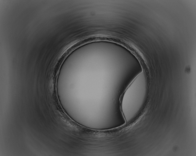 X0000095680829200801081101