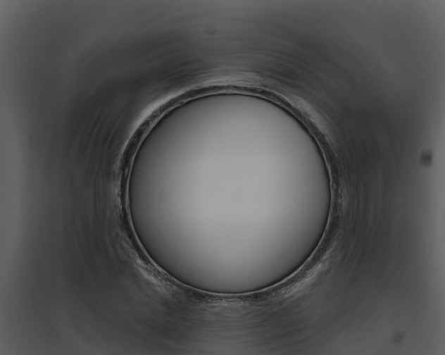 X0000095680830200801081101