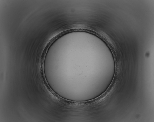 X0000095680831200801081101