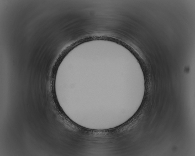 X0000095680832200801081101