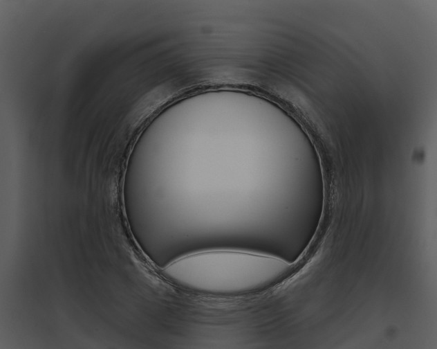 X0000095680833200801081101