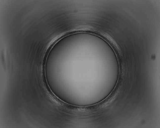 X0000095680834200801081101