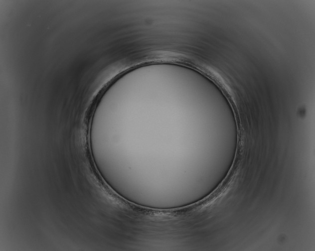 X0000095680835200801081101