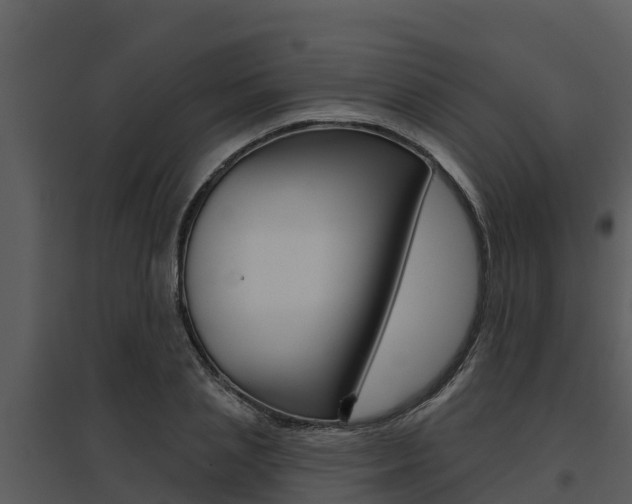 X0000095680837200801081101