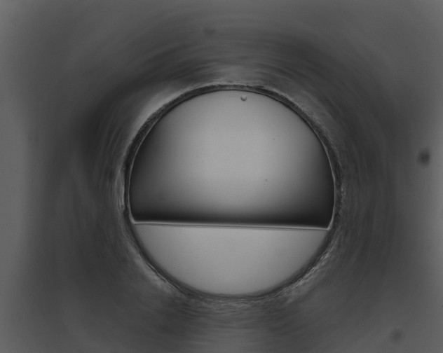 X0000095680838200801081101