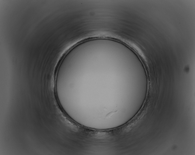 X0000095680839200801081101
