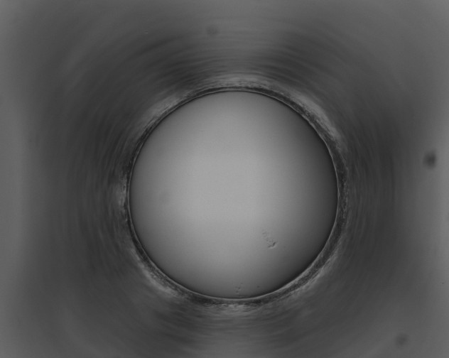 X0000095680841200801081101