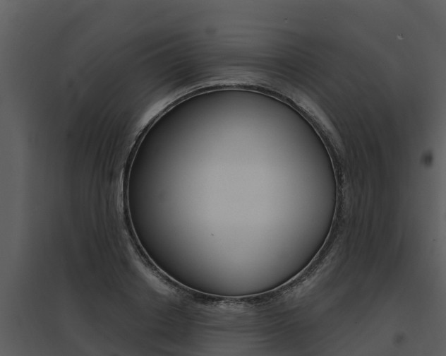 X0000095680842200801081101