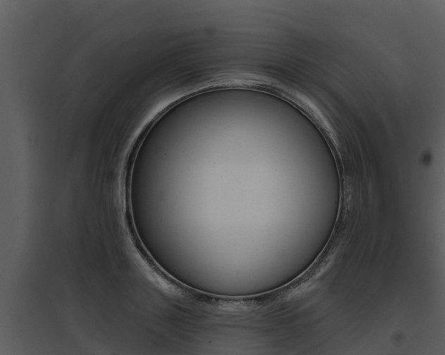 X0000095680843200801081101