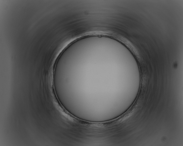X0000095680844200801081101