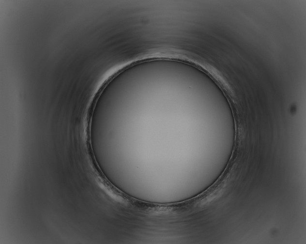 X0000095680846200801081101