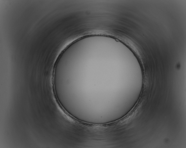 X0000095680847200801081101