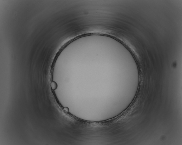X0000095680848200801081101