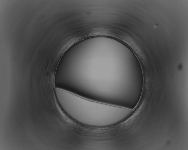 X0000095680849200801081101