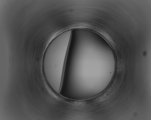 X0000095680850200801081101