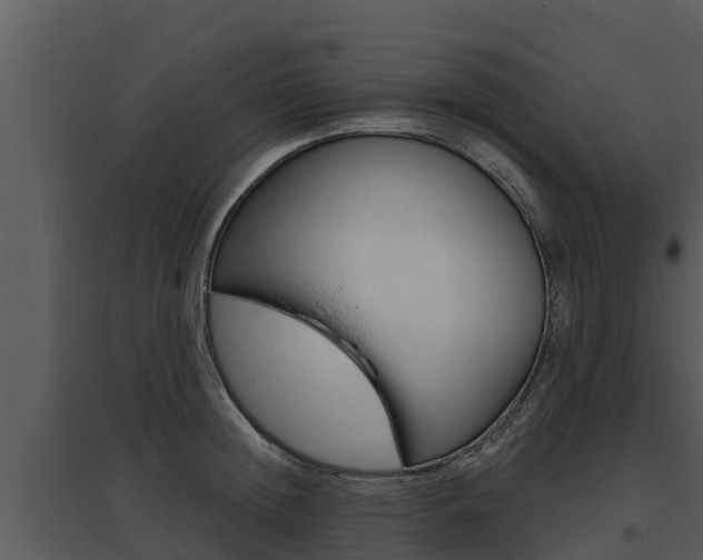 X0000095680852200801081101