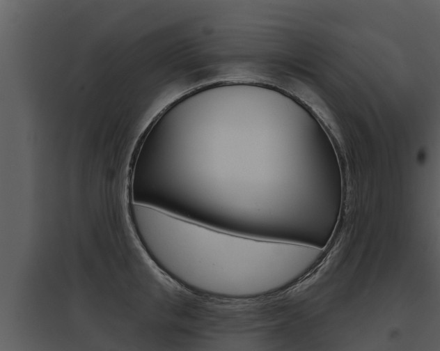 X0000095680853200801081101