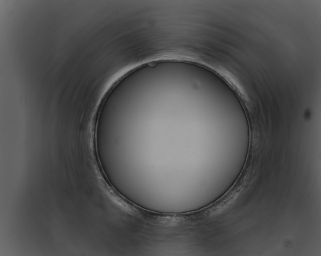 X0000095680854200801081101