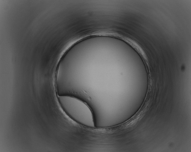 X0000095680855200801081101