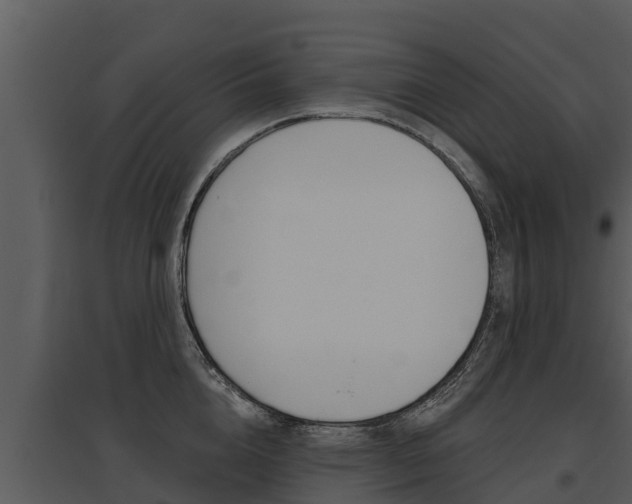 X0000095680856200801081101