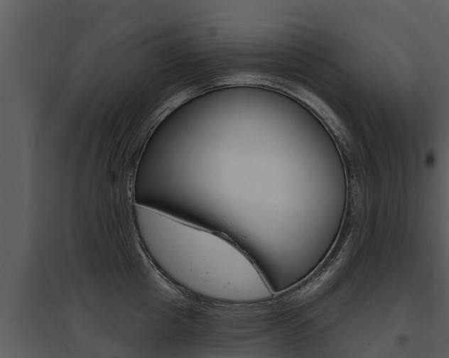 X0000095680857200801081101