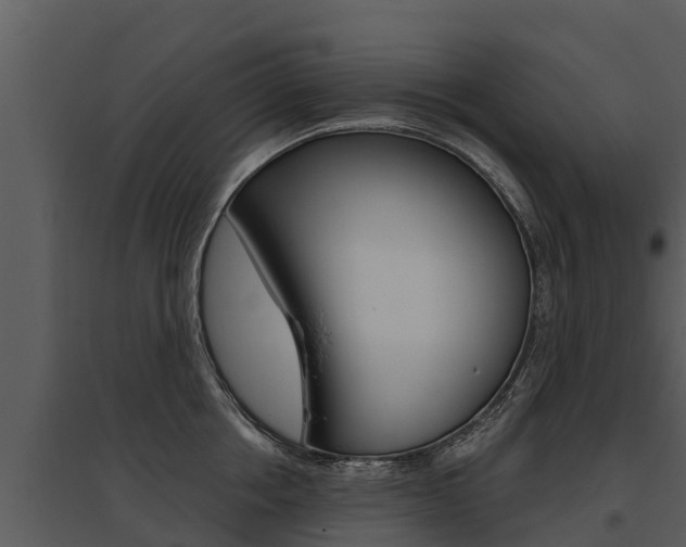 X0000095680858200801081101