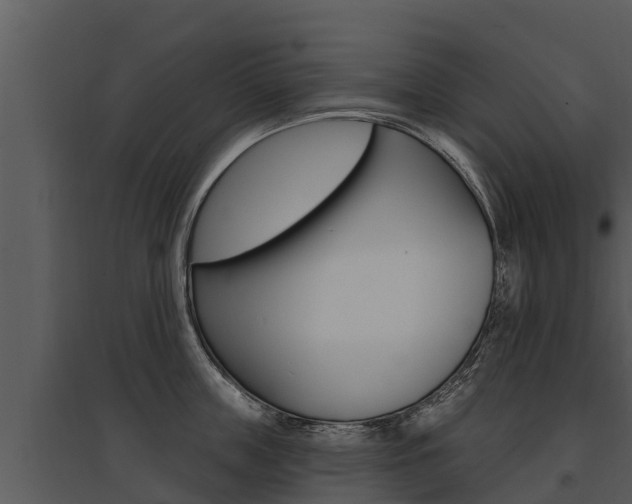X0000095680859200801081101