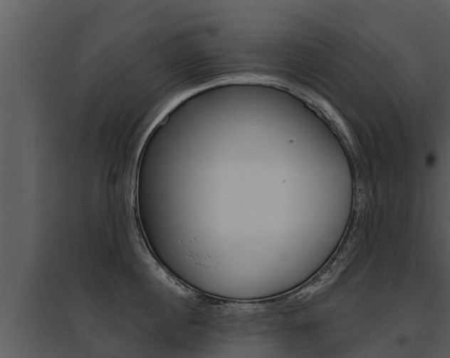 X0000095680860200801081101